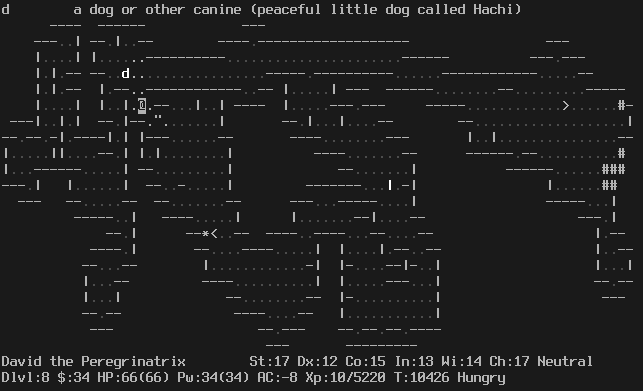 In the Gnomish Mines. A dark level. The level is fully explored. The player is standing in a narrow passage in the upper left, with a dog and a web nearby. The message line says "d  a dog or other canine (peaceful little dog called Hachi)". The status lines say:
David the Peregrinatrix St:17 Dx:12 Co:15 In:13 Wi:14 Ch:17 Neutral
Dlvl:8 $:34 HP:66(66) Pw:34(34) AC:-8 Xp:10/5220 T:10426 Hungry