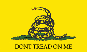 Don't Tread On Me Flag