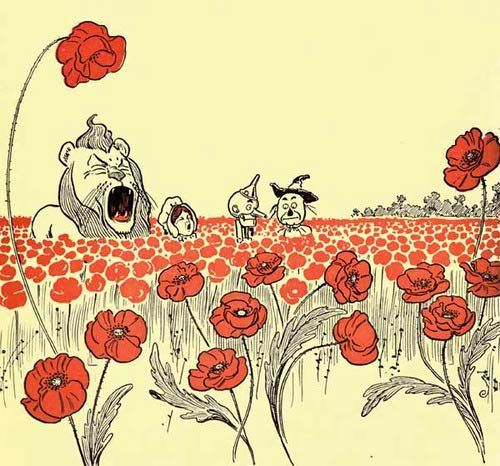 Poppies&#8230;